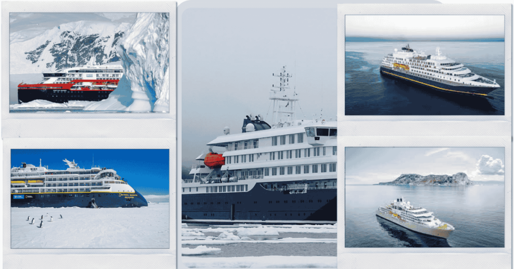 Best Antarctica Cruises for Solo Travelers
