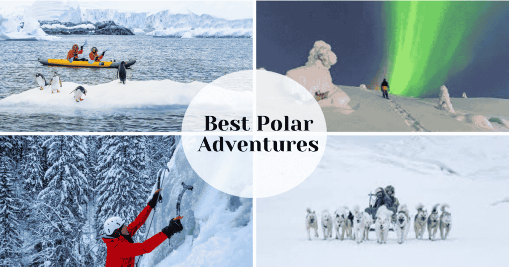 Best Polar Adventures